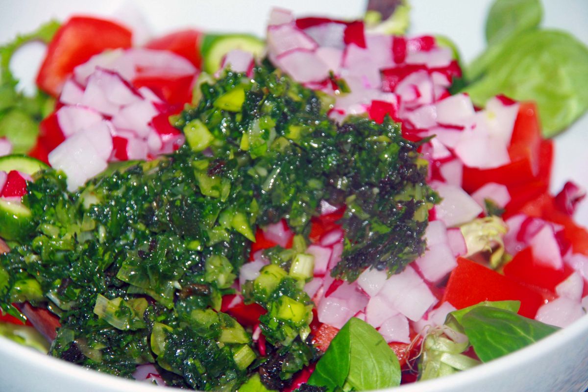 damaszenersalat2