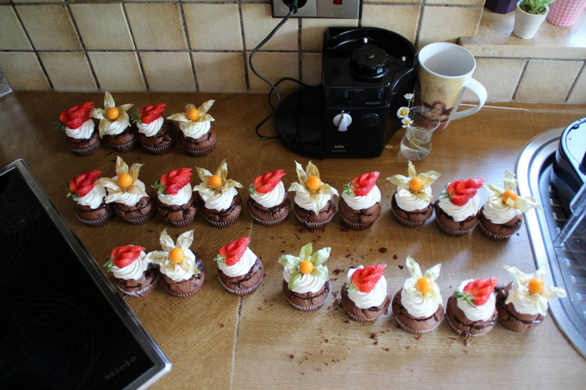 10861040_880132232031394_3597900963906371843_o