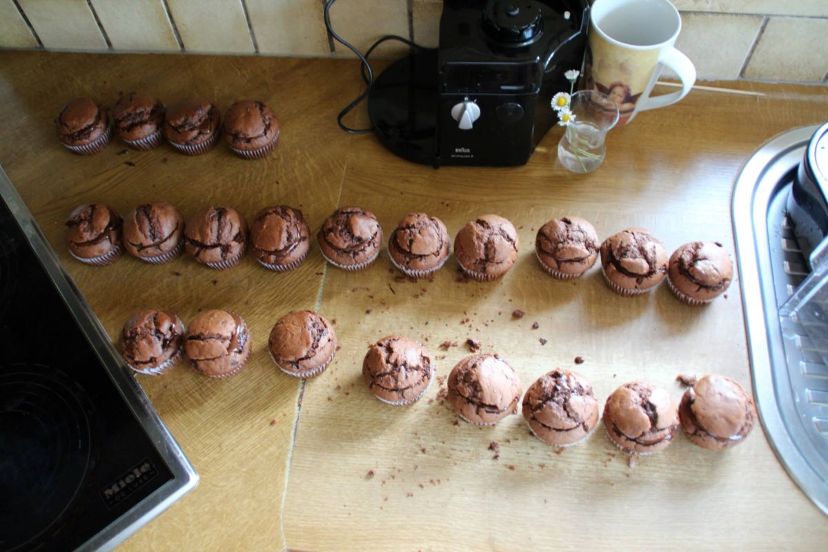 10873381_880132135364737_1813882390605899099_o