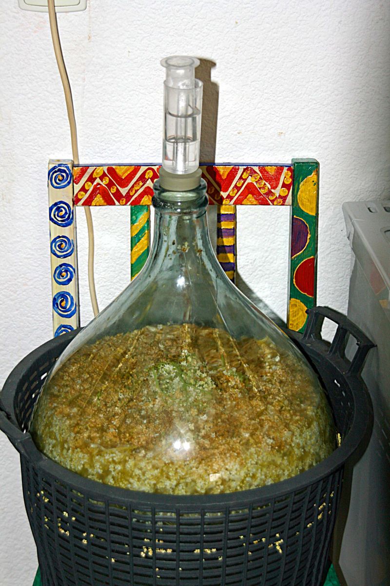 Hollunger_ersteGärung_Maischegärung